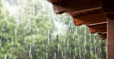 Chuvas esparsas não minimizam a seca, mas traz alento para município de Cachoeira