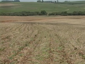 RS tem 48 municípios em situação de emergência pela estiagem