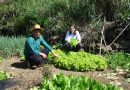 Estado abre as inscrições para o Programa Bolsa Juventude Rural
