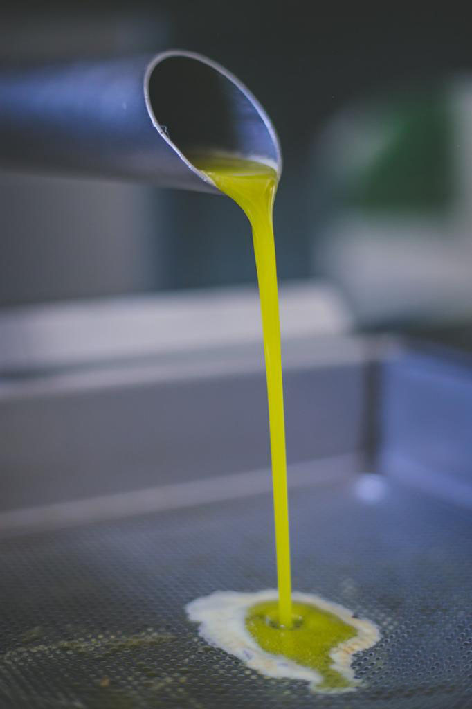 Produção de azeite de oliva no Brasil deve superar recorde de 640 mil litros