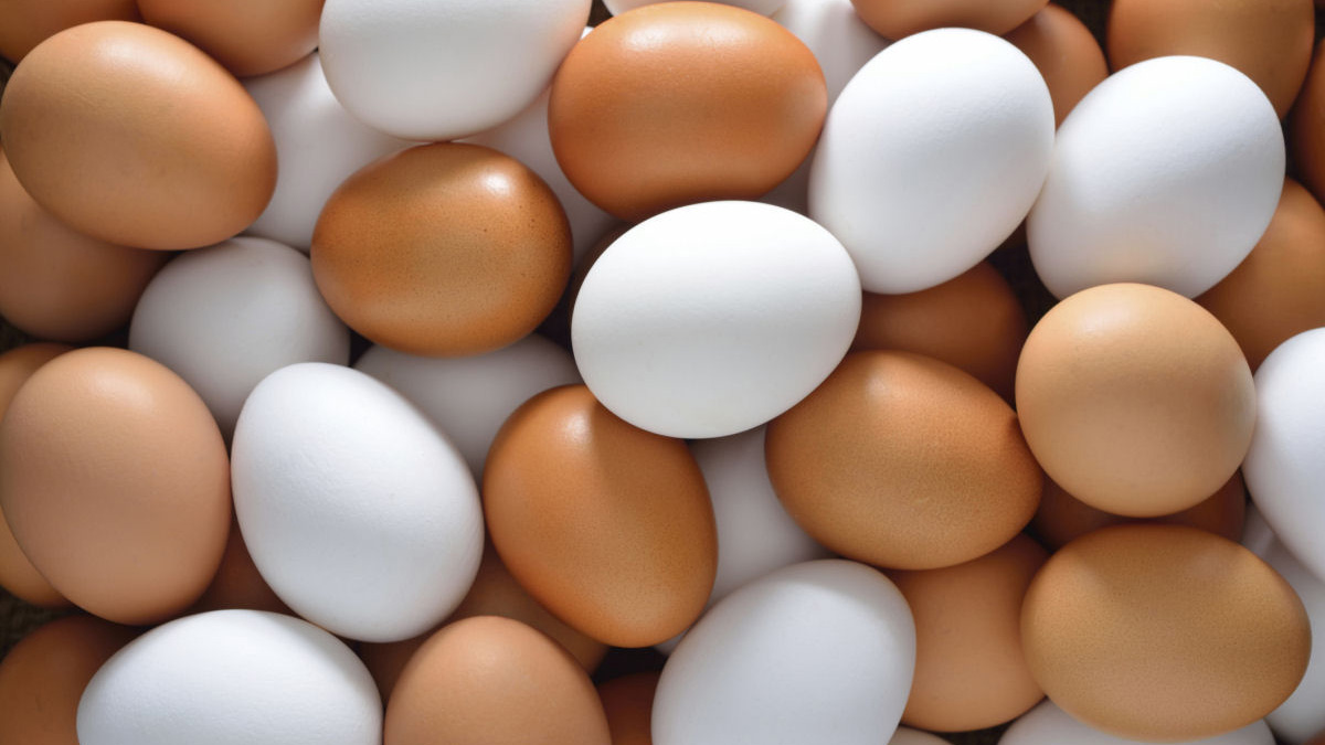 Carne de frango, ovo e frutas registram queda de preço em maio no RS