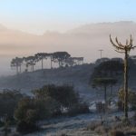 Massa de ar frio chega ao RS a partir de domingo