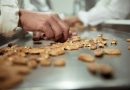 Safra de noz-pecã do RS pode chegar a 7 mil toneladas em 2026