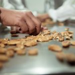 Divinut apresenta na FENARROZ as principais inovações que estão redefinindo o mercado da noz-pecã