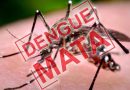Confirmada 9ª morte por dengue no RS em 2024