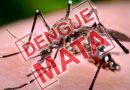 Confirmada a primeira morte por dengue em 2026 no Rio Grande do Sul