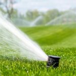 RS anuncia mais de R$ 200 milhões para projetos de irrigação direto ao produtor