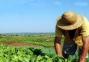 Governo do Estado autoriza retomada do bônus de adimplência para agricultores familiares e amplia prazo para regularização de contratos