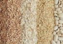 Produção brasileira de grãos deve aumentar apesar do El Niño