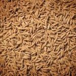 Governo  divulga subvenção para equalizar preços do arroz da nova safra