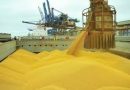 Exportações brasileiras do agronegócio representam 50,2% do total exportado pelo Brasil em maio
