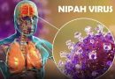 Índia confirma casos do vírus Nipah e acende alerta sanitário internacional