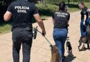 RS conta com 62 delegacias com o selo Amiga dos Animais para investigar casos de maus-tratos.Cachoeira não possui