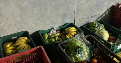 16,5 toneladas de alimentos para a alimentação escolar nas Escolas Municipais
