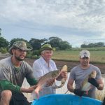 ​Quarta e quinta tem Feira do Peixe Vivo na Feira Livre