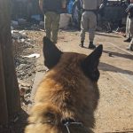 Brigada Militar realiza operação Cabos e Fios em ” ferros velhos” de Cachoeira