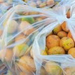 Sesc Cachoeira do Sul lança edição 2026 da campanha Pomar Solidário