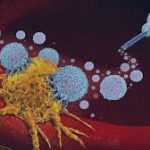 Decreto de Lula inclui imunoterapia entre os métodos do SUS para tratamento do câncer