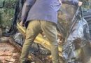 Prefeitura  de Cachoeira é autuada por descarte irregular de resíduos no Jardim da Paz
