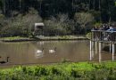 Estado anuncia reabertura do Parque Zoológico, em Sapucaia do Sul, para visitação a partir deste sábado
