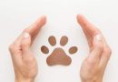 Vizinho é responsabilizado por omissão de socorro a filhote de cão que se afogou em piscina no RS