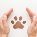 Vizinho é responsabilizado por omissão de socorro a filhote de cão que se afogou em piscina no RS