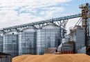 Déficit de Armazenagem no Brasil gera prejuízo de mais de R$ 80 bilhões para o produtor