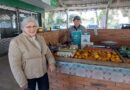 Câmara de Vereadores irá homenagear agricultores em Sessão Solene