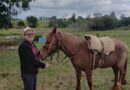 Cempra realiza doação de cavalo recuperado de maus-tratos