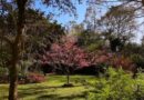 Estação primavera deve ter calor, seca e tempestades severas