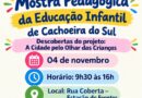 Mostra Pedagógica da Educação Infantil reunirá  experiências das escolas na Rua Coberta