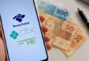 Governo alerta que cadastramento para o Pix MEI ainda não começou
